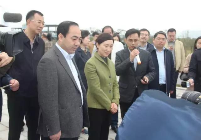 李微微督查重点提案，事关一个老工业区的改造
