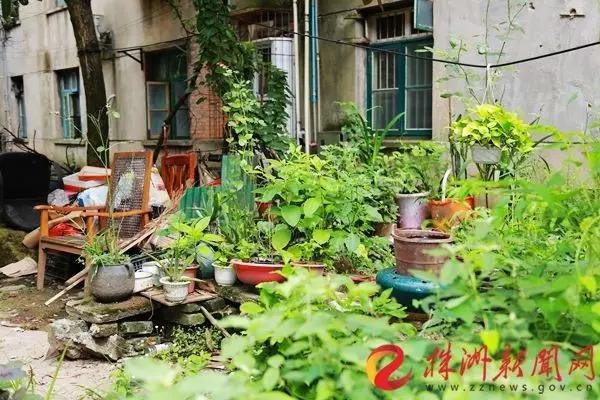 清水塘记忆：这些老物件你可曾见过？