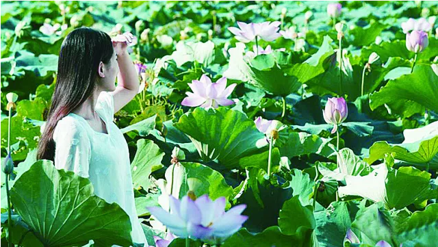 九郎山华丽蝶变！循环集团打造“长株潭后花园”